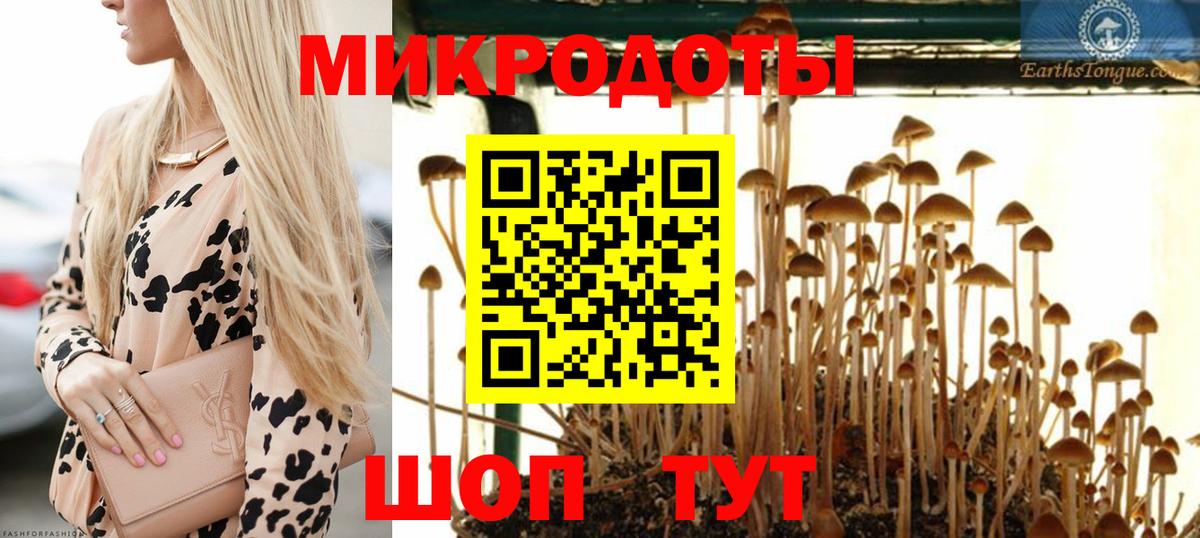 Галлюциногенные грибы MAGIC MUSHROOMS  Вход с VPN  Мичуринск  Псилоцибиновые грибы Psilocybine cubensis 